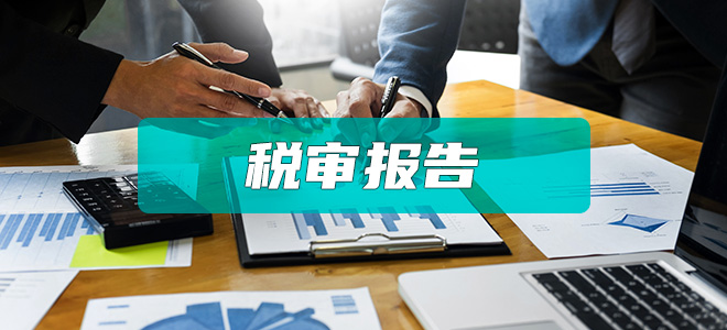 税审报告